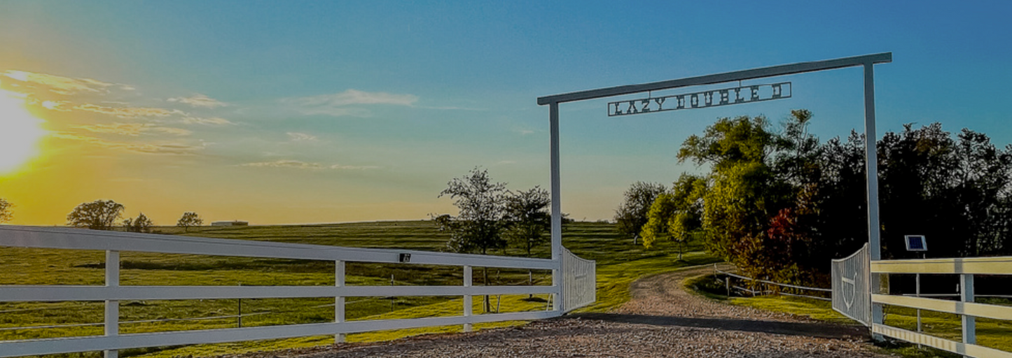 Lazy Double D Ranch Field Trip