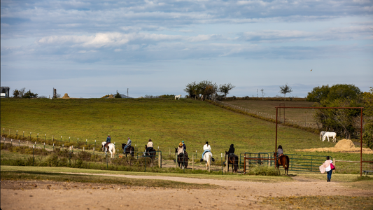 Horseback Ride (You own the horse)